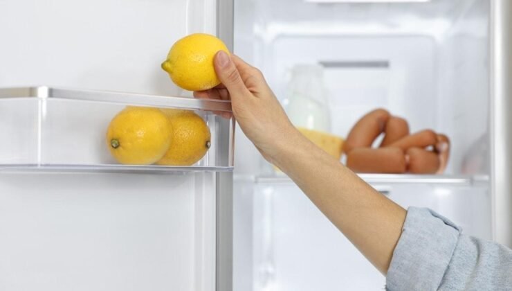 Limonun Saklanma Yöntemleri ve Faydaları