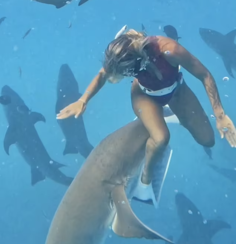 Maldivler'de Hemşire Köpekbalığı Saldırısına Uğrayan Sosyal Medya Fenomeni