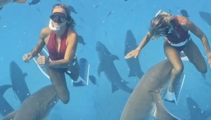 Maldivler’de Hemşire Köpekbalığı Saldırısına Uğrayan Sosyal Medya Fenomeni