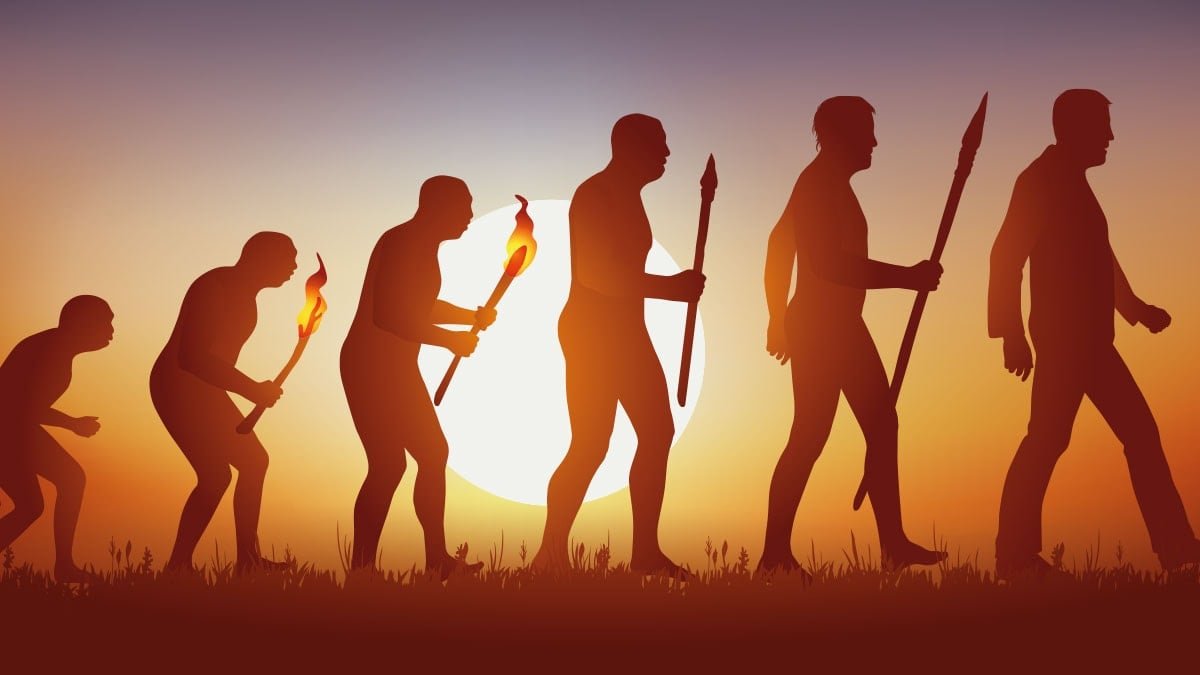 Neandertaller ve Teknolojik Evrim