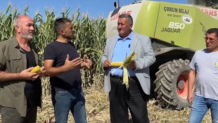 Ömer Fethi Gürer’den Mısır Üretimi ve İthalatına Eleştiriler