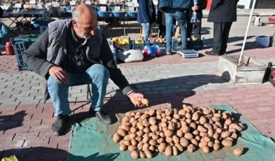 Türkiye’deki Ekonomik Kriz ve Tarım Sektörüne Etkileri