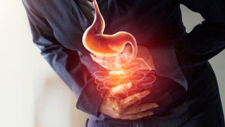 Bağırsak Sağlığını Destekleyen Besinler ve Önemi