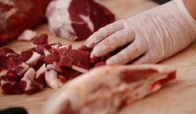 CHP Milletvekili Ömer Fethi Gürer’den Hayvancılık Değerlendirmeleri