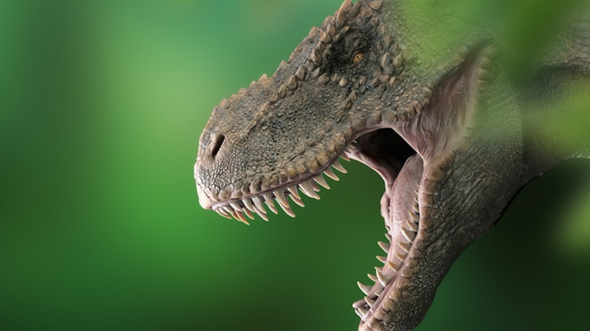 Dinozorların Cinsel Yaşamı: Gizemli Bir Dünyanın Kapıları Aralanıyor