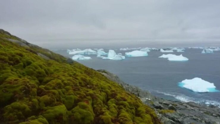 Dünya Meteoroloji Örgütü’nden Buzulların Korunması İçin Önemli Duyuru