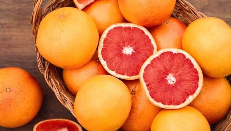 Dünyanın En Ölümcül Gıdaları: Tehlikeli Yiyecekler Hakkında Bilmeniz Gerekenler