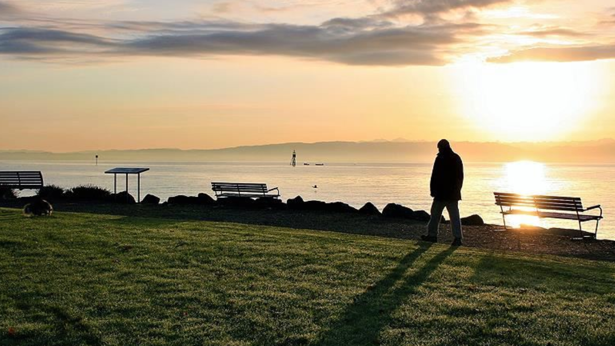 Evlilik ve İlişkilerin Yaşam Memnuniyeti Üzerindeki Etkisi