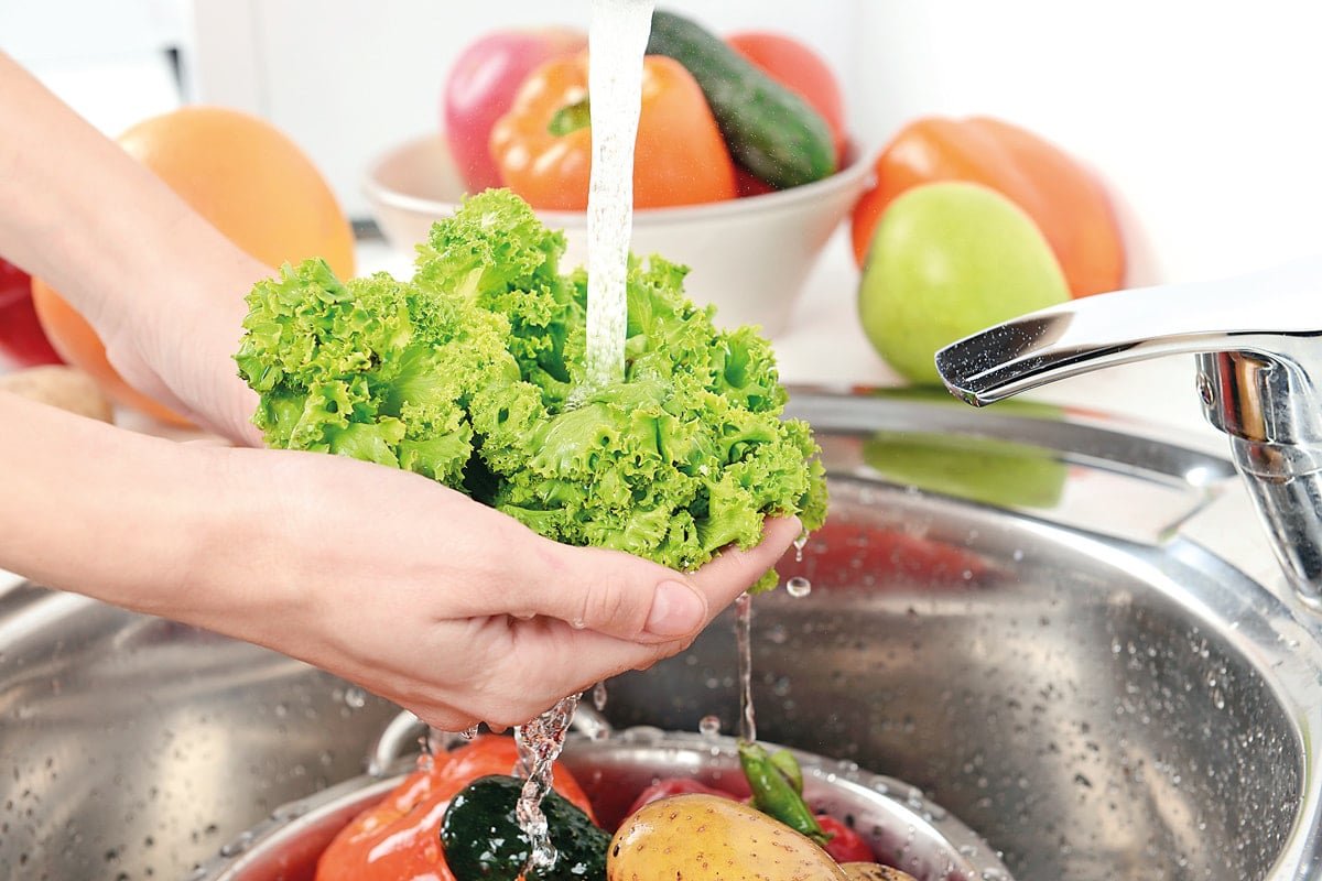 Gıda Güvenliği ve Salmonella Bakterisi: Korunma Yöntemleri