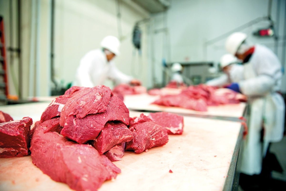 Gıda Güvenliği ve Salmonella Bakterisi: Korunma Yöntemleri