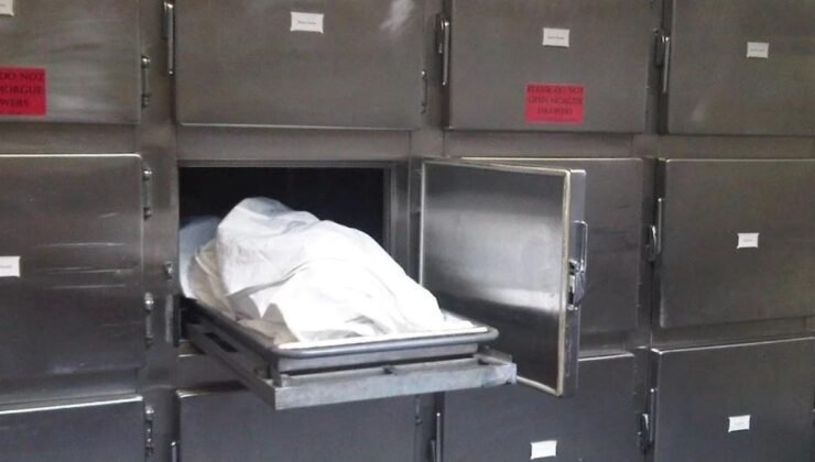 Karaciğer Kanseri: Artan Vakalar ve Önlenebilir Nedenler