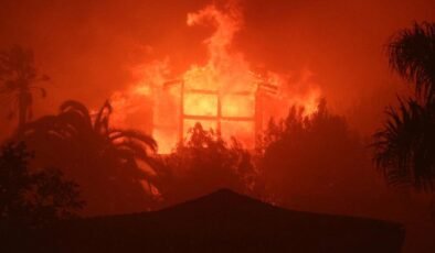 Los Angeles’ta Orman Yangınları ve Yağma Krizi