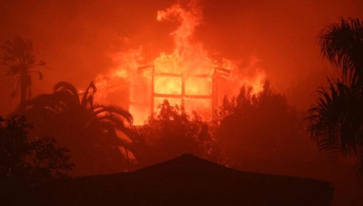 Los Angeles’ta Orman Yangınları ve Yağma Krizi