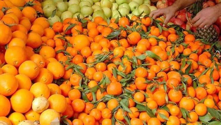 Mandalina ve Portakal: Hangisi Daha Faydalı?