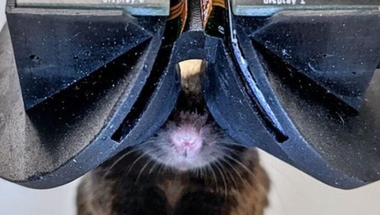 MouseGoggles: Fareler için Yenilikçi Sanal Gerçeklik Sistemi