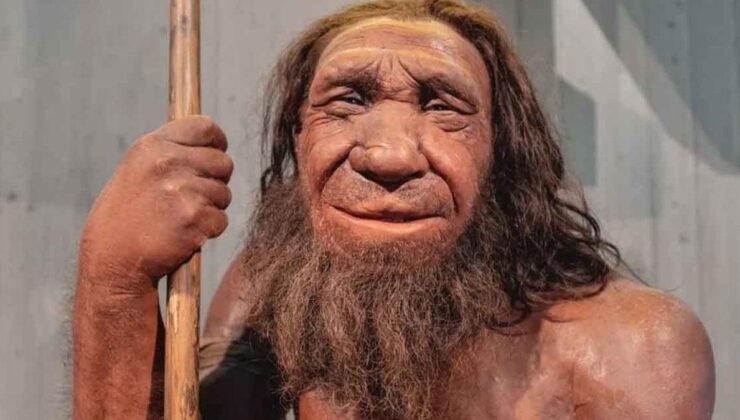 Neandertaller, Denisovalılar ve Homo sapiens’in Kan Grupları Üzerine Yeni Bulgular
