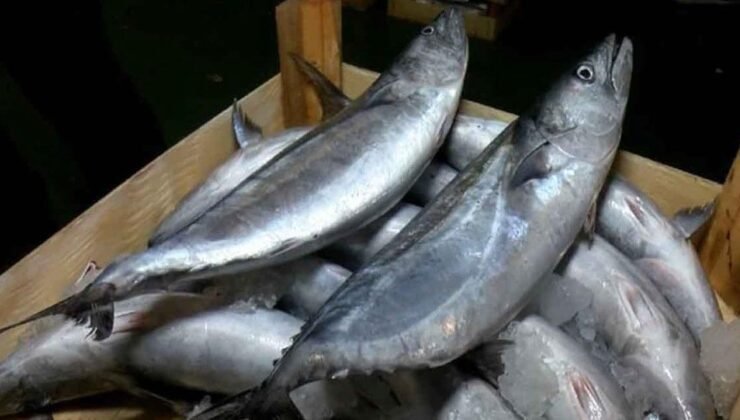 Omega-3 Yağ Asitleri ve Kalp Sağlığı Üzerindeki Etkileri