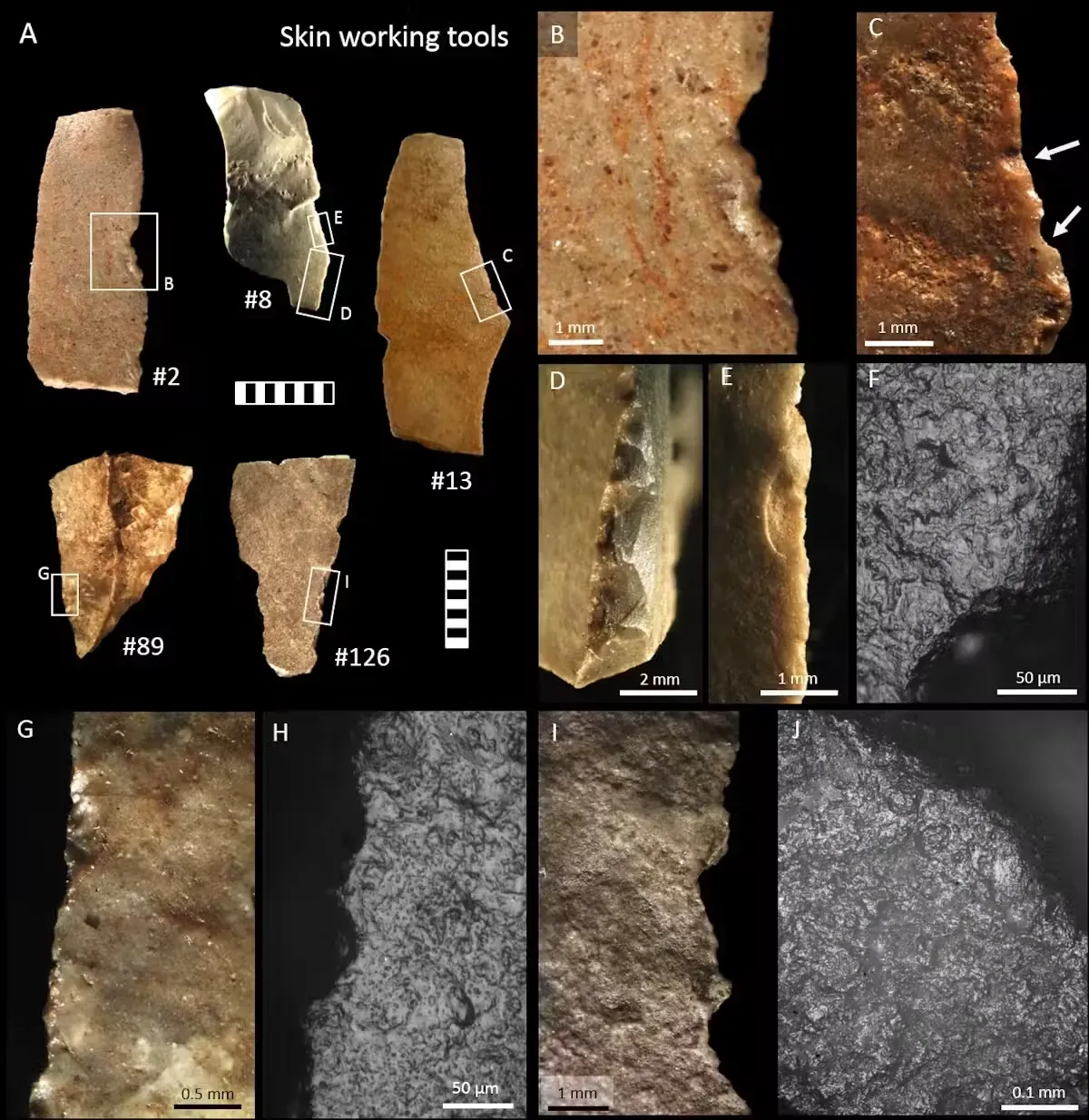 Wurundjeri Woi-wurrung Halkının Kutsal Toprak Halkaları