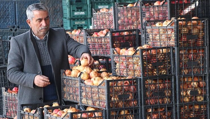 Zivzik Narı: Siirt’in Sağlık Dünyasına Açılan Kapısı