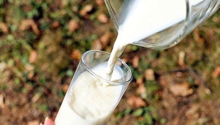 Çiğ Süt Desteği ve Süt Piyasasının Düzenlenmesi Uygulama Tebliği