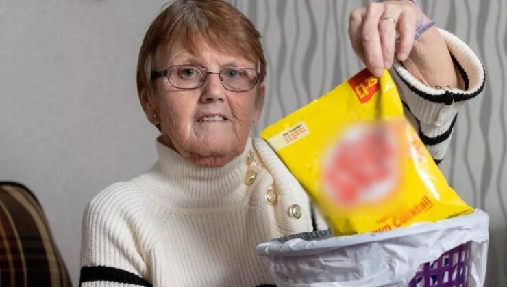 Cipslerle Hayatta Kalma Hikayesi: Kathy Allan’ın Zorlu Süreci