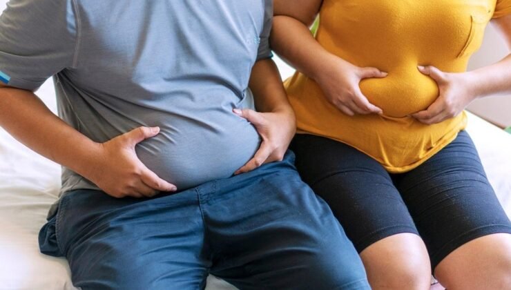 Dislipidemi: Nedenleri, Damar Hastalıkları ile İlişkisi ve Önlenmesi