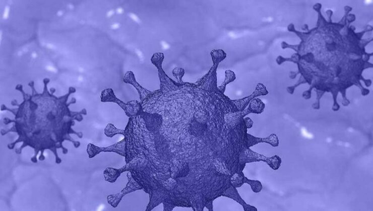 H5N1 Virüsündeki D1.1 Mutasyonu ve İnsan Sağlığı Üzerindeki Tehditler
