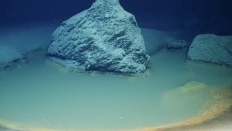 Kızıldeniz’de Doğal Ölüm Tuzakları Keşfedildi