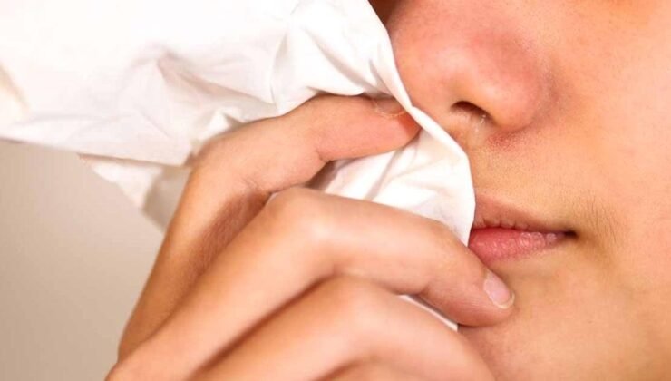 Mukus Renkleri ve Sağlık Anlamları