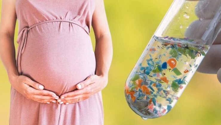 Plastiklerin Ekosistem ve İnsan Sağlığı Üzerindeki Yıkıcı Etkileri