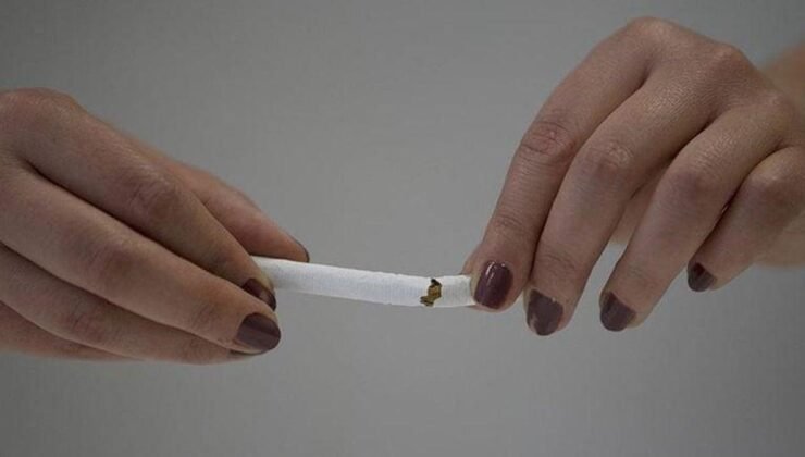 Sigara ile Mücadelede Küresel ve Yerel Adımlar