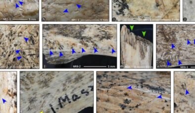 Yamyamlık Üzerine Yeni Araştırmalar ve Bulgular