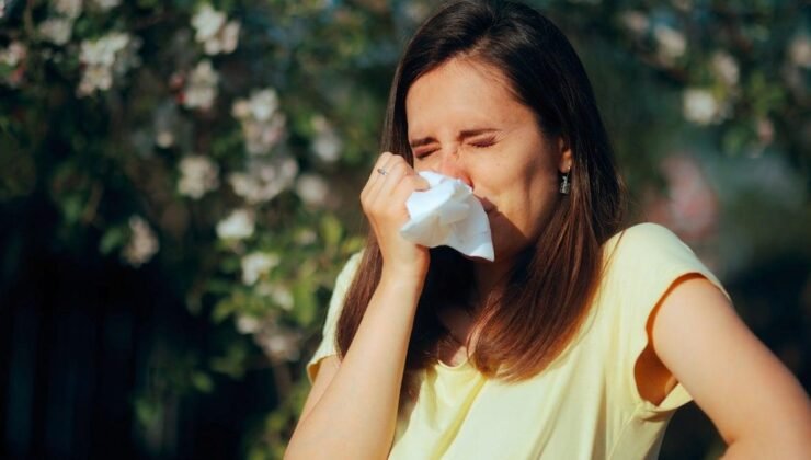 Alerjik Rinit ve Polen Mevsimi: Belirtiler ve Tedavi Yöntemleri