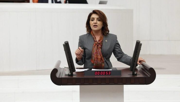 CHP’li Gülcan Kış’tan Aile Yılı Eleştirisi: ‘Yoksulluk Yılı’ Olacak