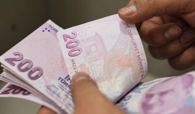 Devlet Destekli Tarım Sigortası Uygulamaları ve Hasar Ödemeleri