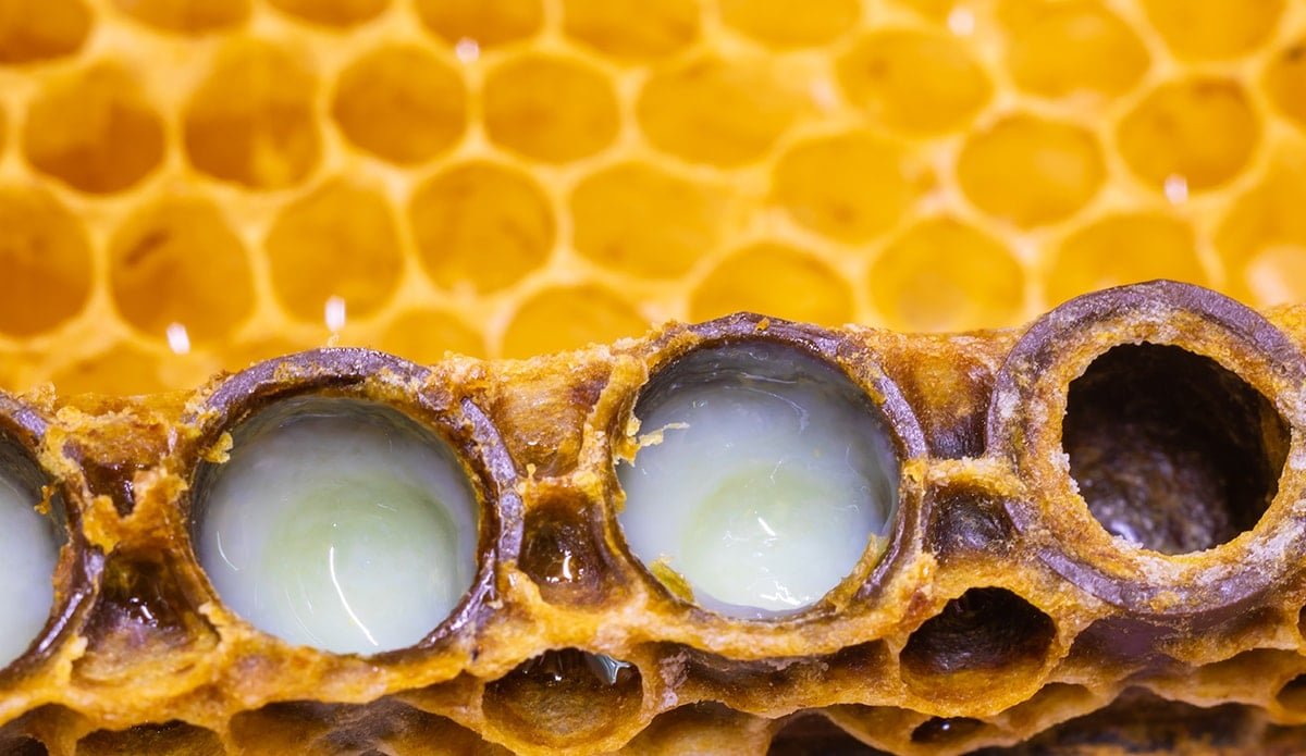 Doğal Sağlık Ürünleri: Arı Sütü ve Propolis