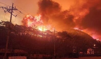 Güney Kore’deki Orman Yangınları: 24 Ölü, Tarihi Alanlar Tehdit Altında