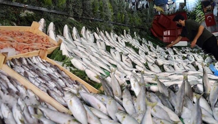 Mart Ayında Tüketilmesi Tavsiye Edilen Sağlıklı Balıklar