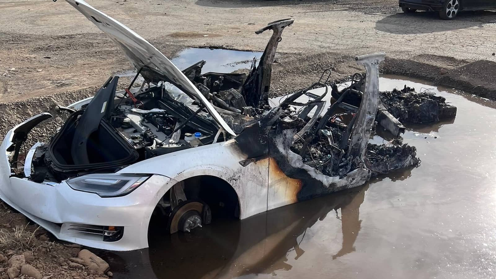 Protestolar Tesla Bayilerini Hedef Aldı