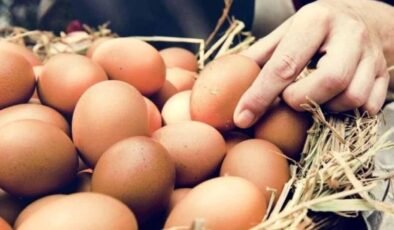 Soya: Protein Kaynağı ve Sağlık Faydaları