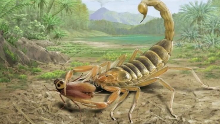 Yeni Fosil Keşfi: Jeholia longchengi