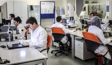 Yeni Teşvik Sistemi ve Hedefleri