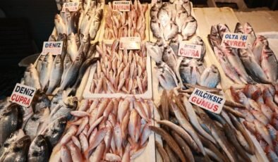 Akdeniz Balıkçılarının 12 Mili Kapsayan Sezon Sonu Değerlendirmesi