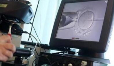 Avustralya’da Tüp Bebek Skandalı: Yanlış Embriyo Transferi