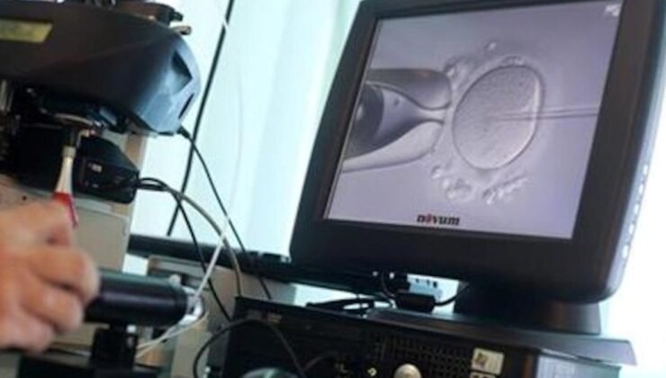 Avustralya’da Tüp Bebek Skandalı: Yanlış Embriyo Transferi