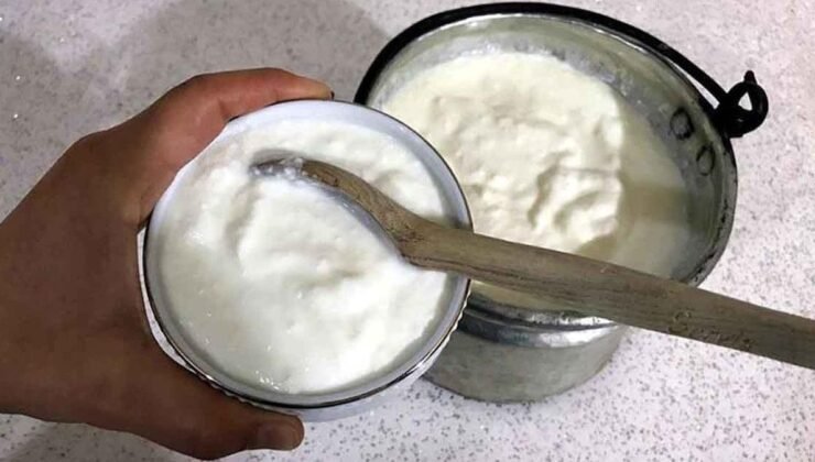 Bal ve Yoğurt Kombosunun Sağlık Üzerindeki Yükselen Etkisi