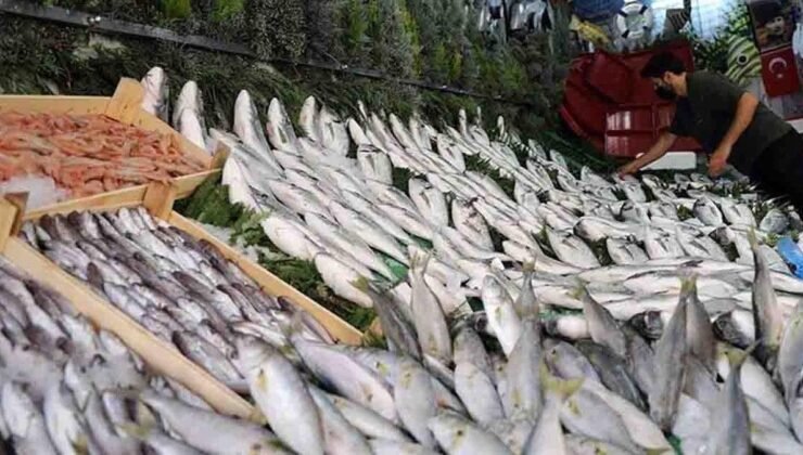 Balık Derisi Tüketimi ve Cıva Riski