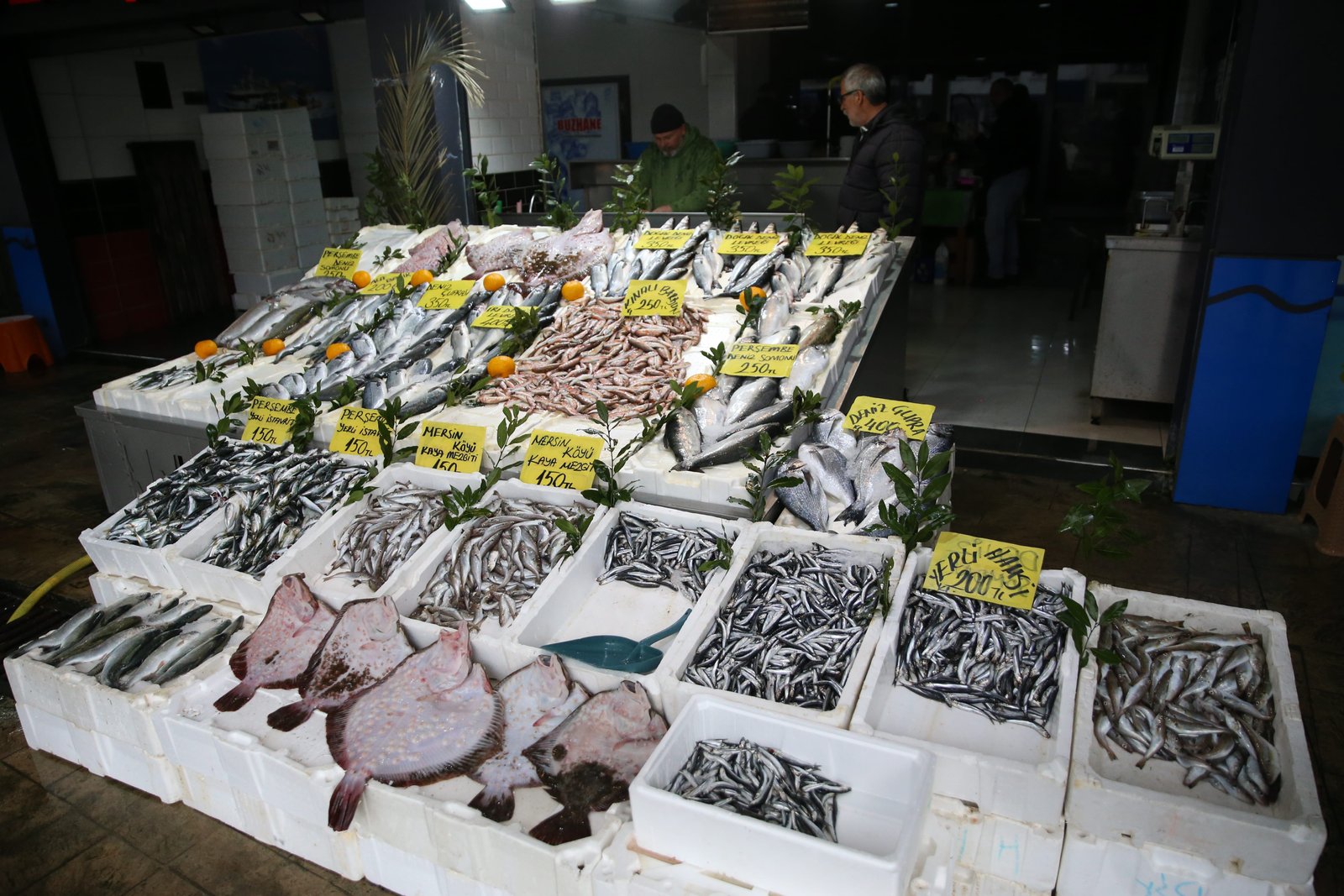 Balıkçılar Av Sezonunu Memnuniyetle Kapatıyor