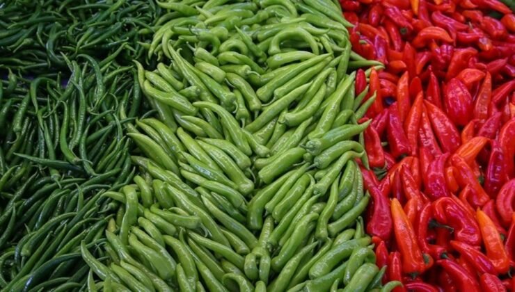 Batı Akdeniz’de Yaş Sebze ve Meyve İhracatında Biber Zirvede