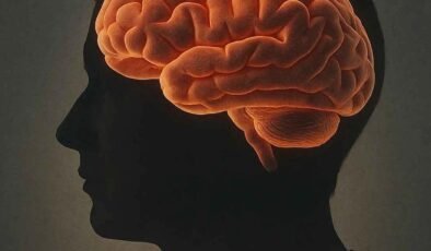 Beynin Öğrenme Mekanizması: Çok Katmanlı ve Esnek Bir Süreç